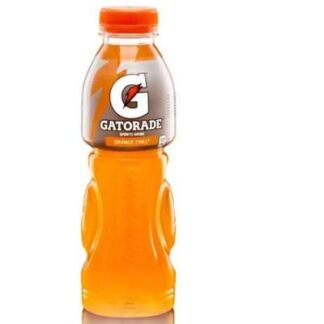 Gatorade Energy Drink Grapes 500ml | Iloilo Online Grocery